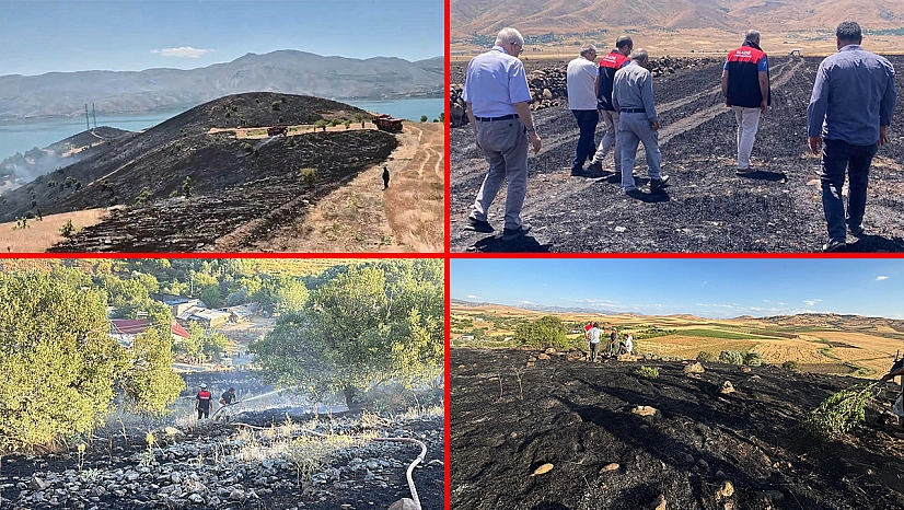 Yangınlara karşı ortak mücadele çağrısı