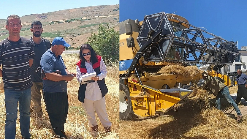 Ağın'da hasat öncesi biçerdöver denetimi