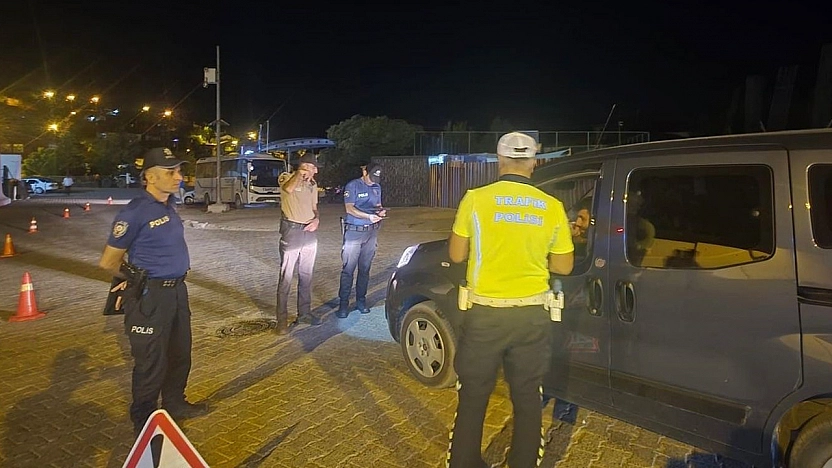 Alacakaya'da huzur denetimi: Ekipler ilçeyi mercek altına aldı