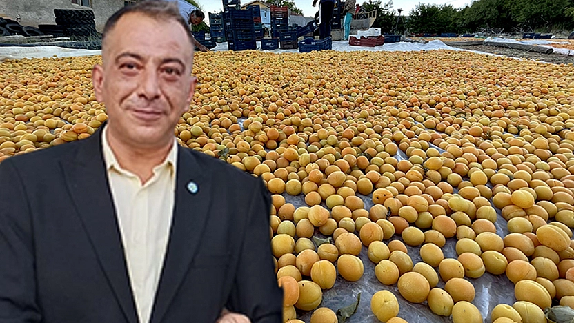 Başkan Arslan: Baskil Kayısısı yok sayılıyor, 'Utanç verici'