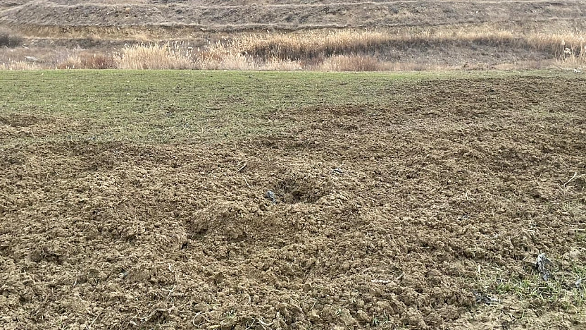 Baskil'de yaban domuzları ekili 10 dönüm araziyi talan etti