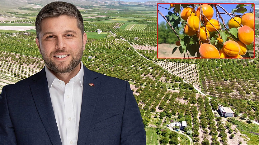 Baskil Kayısısı'nın size ne zararı var?