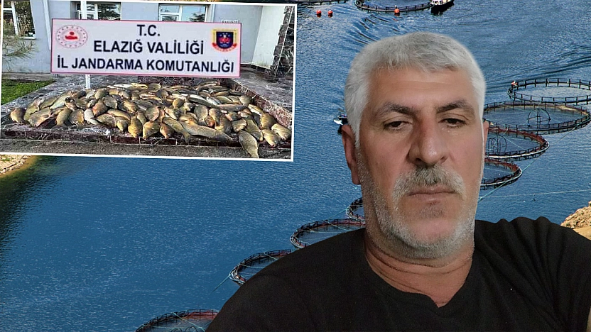 Denetimsizlik balık neslini tüketiyor