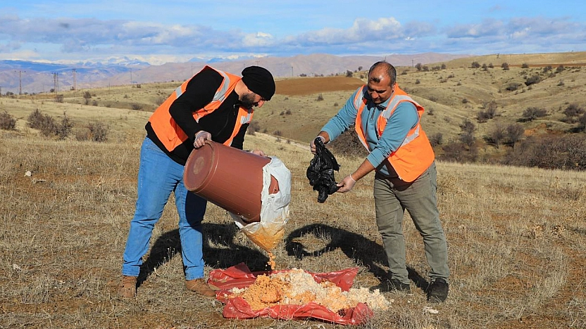Elazığ Belediyesi doğaya yem bıraktı