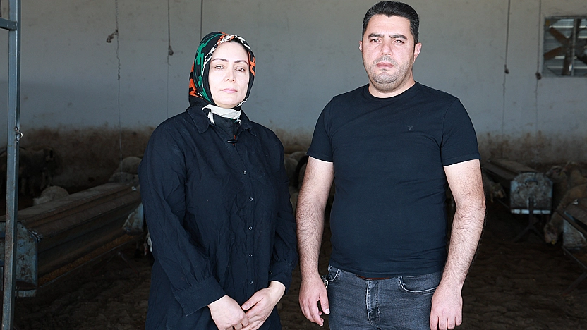 Elazığ'da 3 Çocuklu Anneden Örnek Girişim: Devlet Desteğiyle Kurulan Küçükbaş Çiftliği