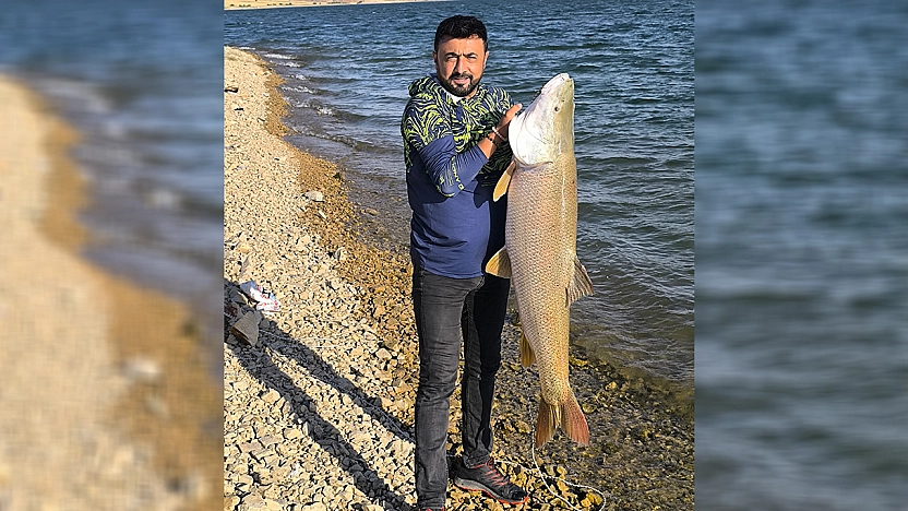 Elazığ'da 30 kiloluk dev turna balığı yakalandı