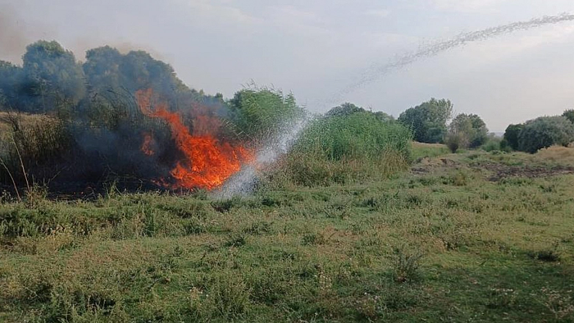 Elazığ'da ağaçlık alanda çıkan yangın söndürüldü