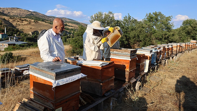 Elazığ'da arıcıların yüzü güldü: Kovan başına 10 kilo bal bekleniyor
