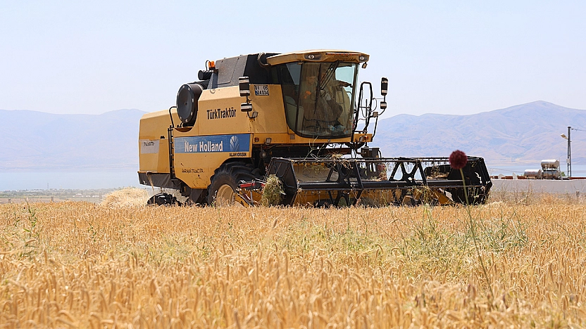 Elazığ'da arpa hasadı başladı ama çiftçi memnun değil