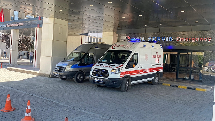 Elazığ'da bir kadını kene ısırdı