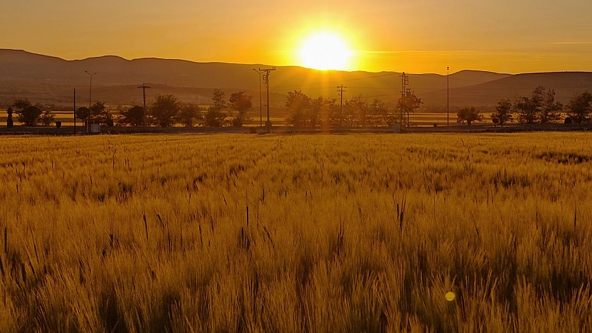Elazığ'da bugün hava durumu (21 Ocak 2026)