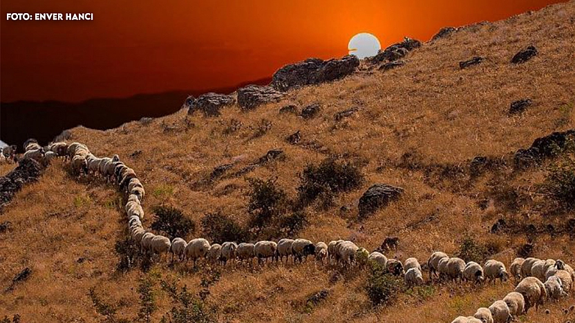 Elazığ'da bugün hava nasıl olacak? (13.06.2025)