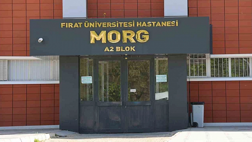 Elazığ'da çöp arabasının çarptığı belediye işçisi hayatını kaybetti