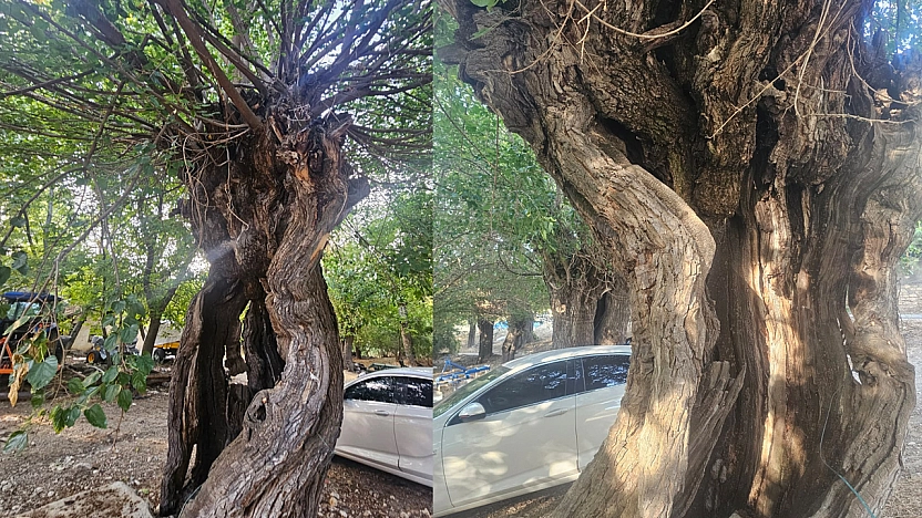 Elazığ'da doğal miras