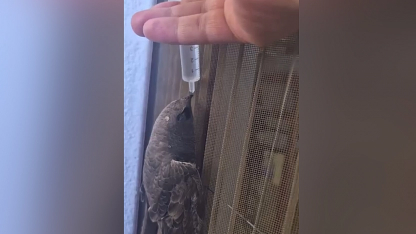 Elazığ'da iç ısıtan görüntü
