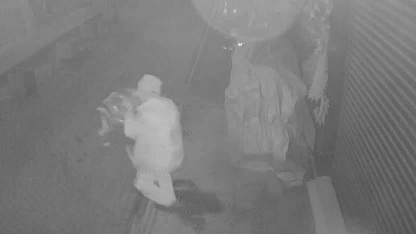 Elazığ'da ilginç hırsızlık! Poşete sığmayınca elinde taşıdı