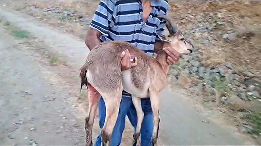 Elazığ'da insanlık ölmemiş dedirten davranış