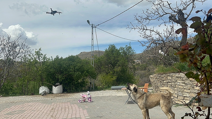 Elazığ'da Köpeğin dron ile imtihanı gülümsetti
