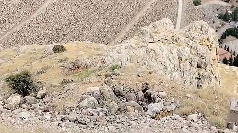 Elazığ'da koruma altındaki dağ keçileri görüntülendi