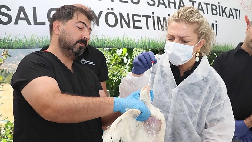 Elazığ'da Kuş Gribine karşı gerçek boyutlu saha tatbikatı