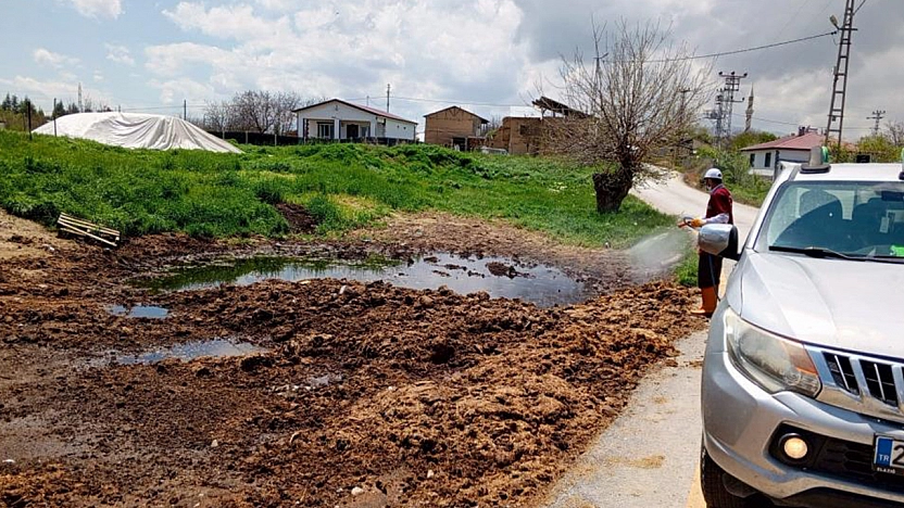 Elazığ'da larva ilaçlama çalışmaları sürüyor