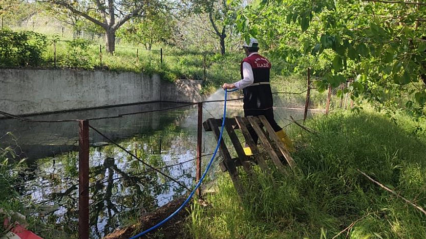 Elazığ'da larva ile mücadele çalışmaları sürüyor