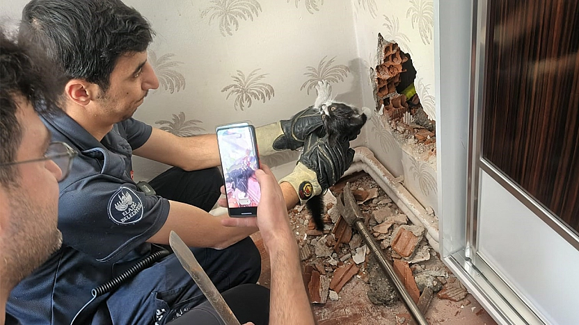 Elazığ'da nefes kesen kedi operasyonu