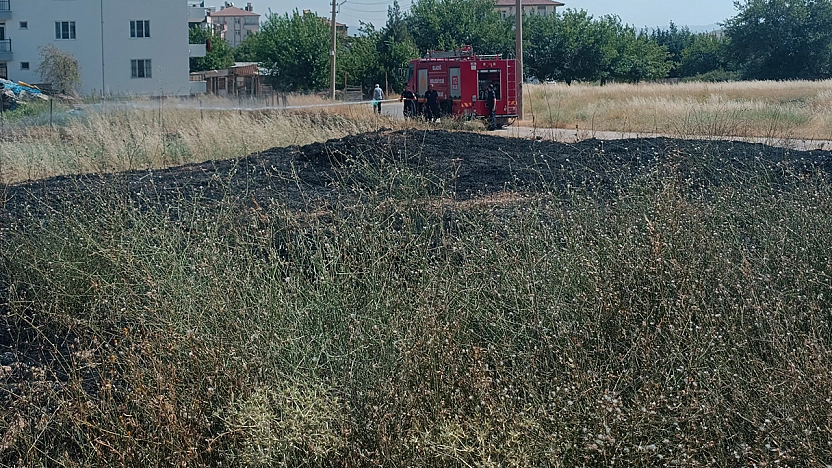 Elazığ'da otluk alanda yangın: Mahalleliyi korkutan alevler bahçelere sıçradı