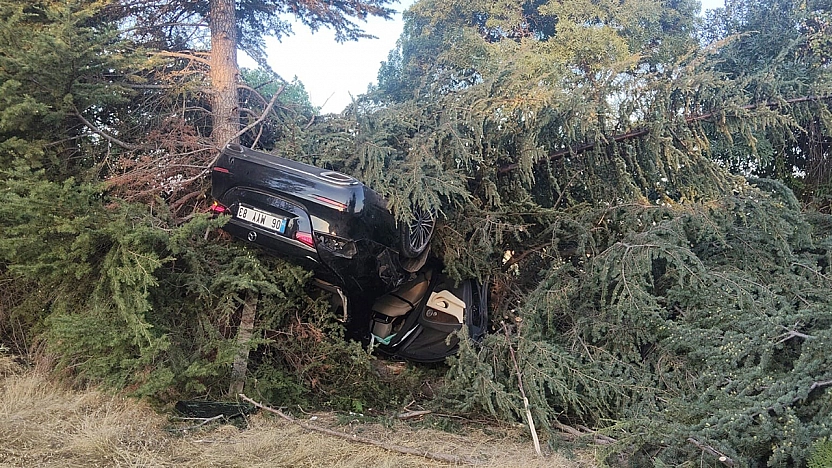 Elazığ'da otomobil ağaca çarptı: 1 yaralı