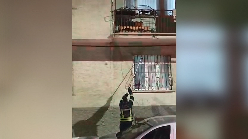Elazığ'da pencere korkuluğuna yılan çıktı