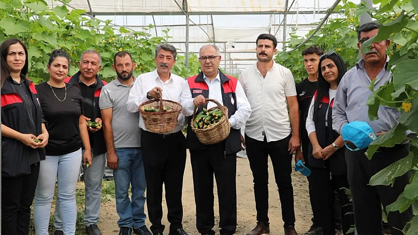 Elazığ'da seralar yenileniyor, üretim güçleniyor