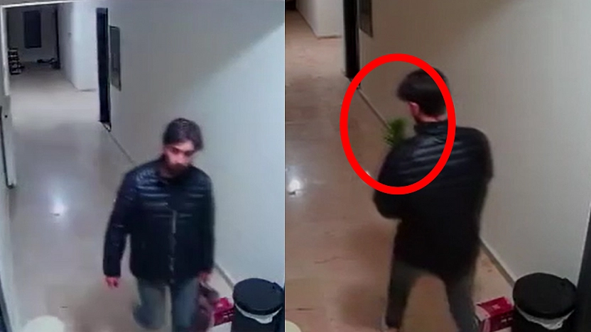 Elazığ'da sıradışı hırsızlık: Çiçek çaldı