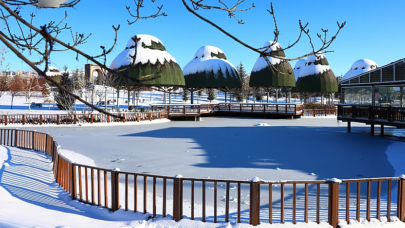Elazığ'da soğuk hava süs havuzlarını dondurdu
