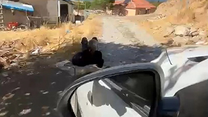Elazığ'da şok görüntü: Yaşlı adam ağaca zincirlenmiş halde bulundu