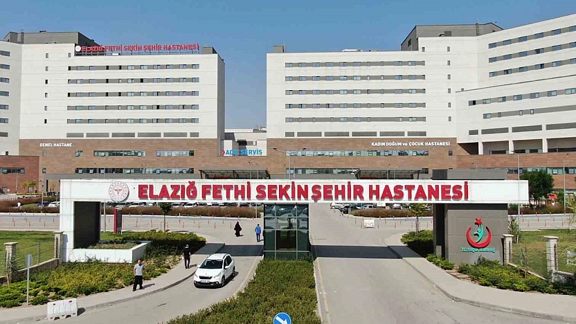 Elazığ'da talihsiz olay: Eşek arısı sokması can aldı