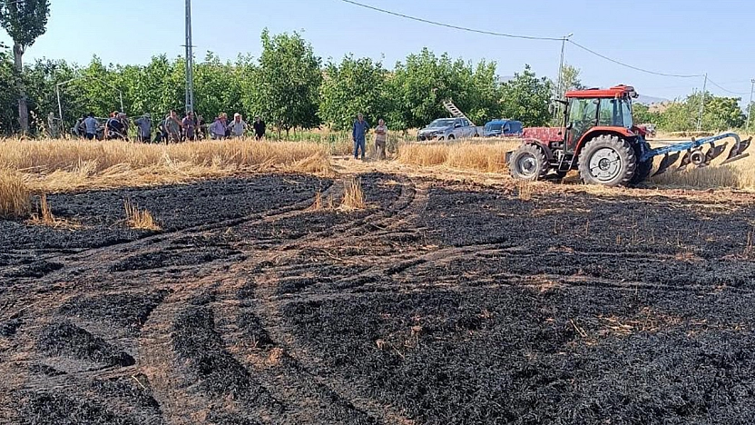 Elazığ'da tarla alevlere teslim oldu