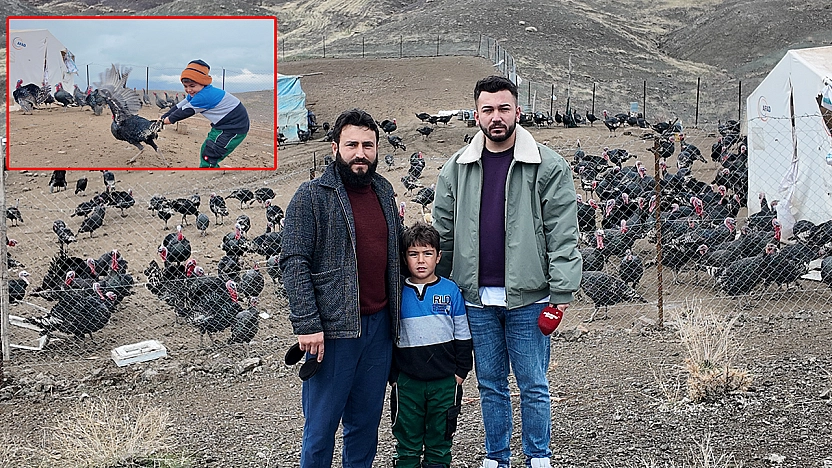 Elazığ'da koç fiyatına hindi
