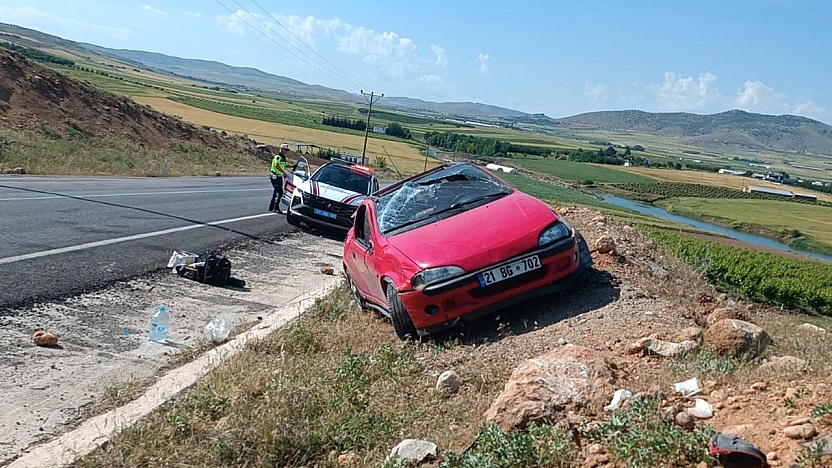 Elazığ'da trafik kazası