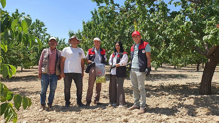 Elazığ'da üretim alanlarında pestisit takibi