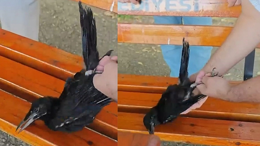 Elazığ'da vatandaştan yürek ısıtan hareket