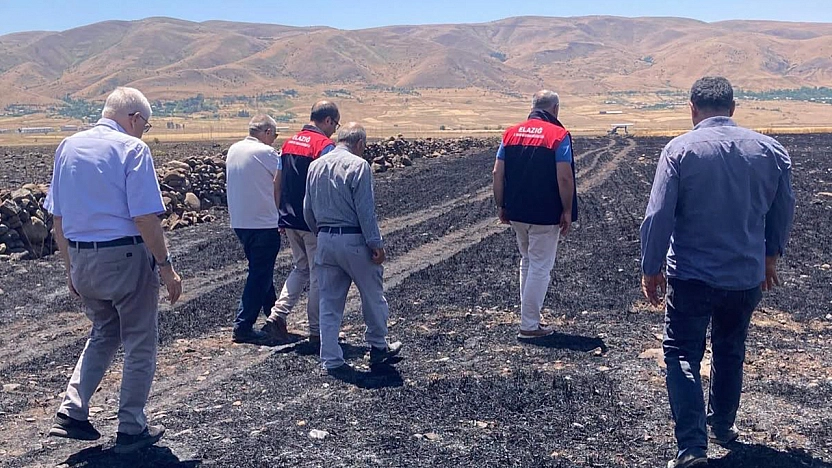 Elazığ'da yangın felaketi: 300 dönüm alan etkilendi