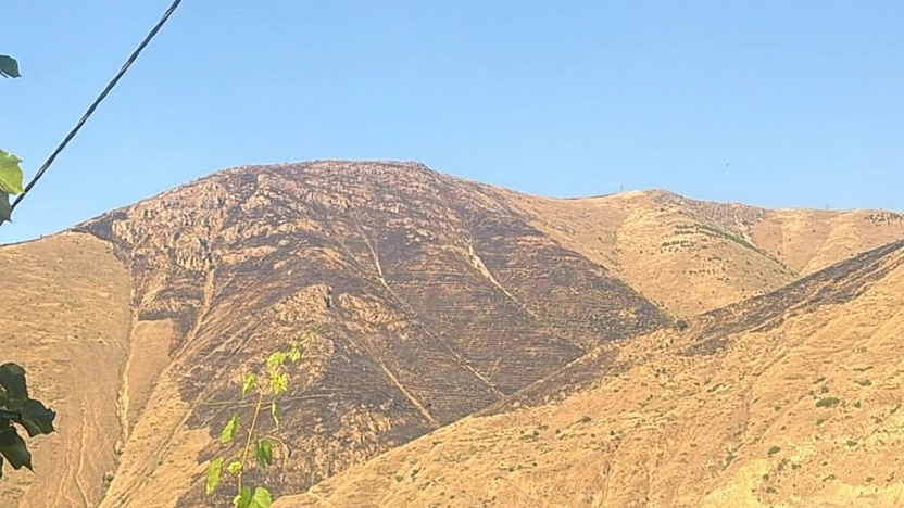 Elazığ'da yangın kontrol altına alındı