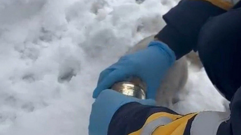 Elazığ'da yürekleri ısıtan görüntü