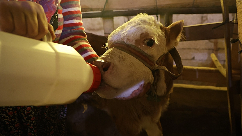 Elazığ'da yürekleri ısıtan görüntü