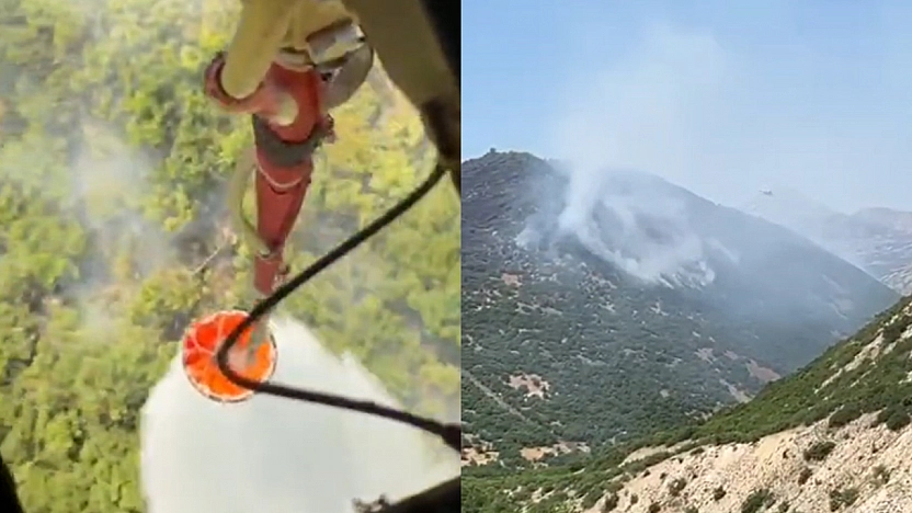 Elazığ'daki orman yangını kontrol altına alındı