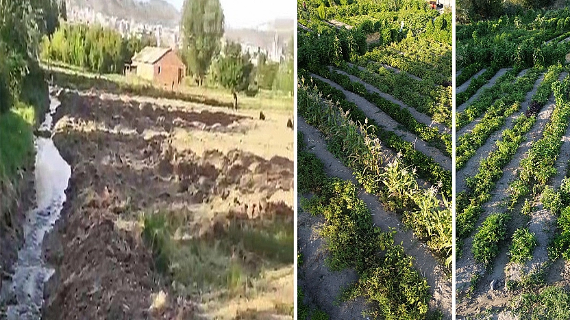 Elazığ'dan üretime milli reçete: dağ idi, bağ oldu