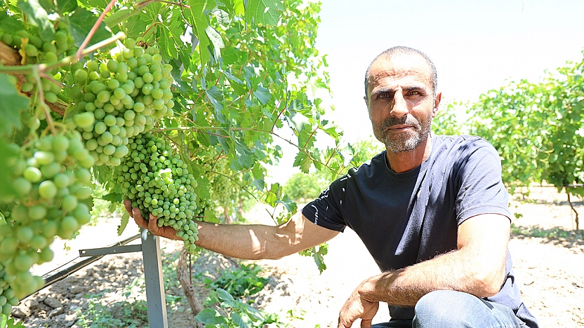 Gurbetten döndü, Elazığ'da 300 dönümü bağa dönüştürdü