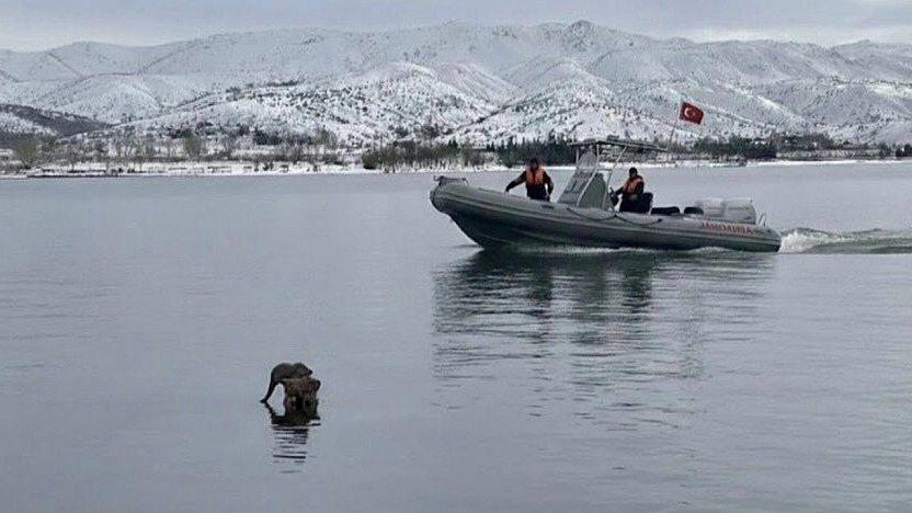 Hazar Gölü'nde su samuru görüntülendi