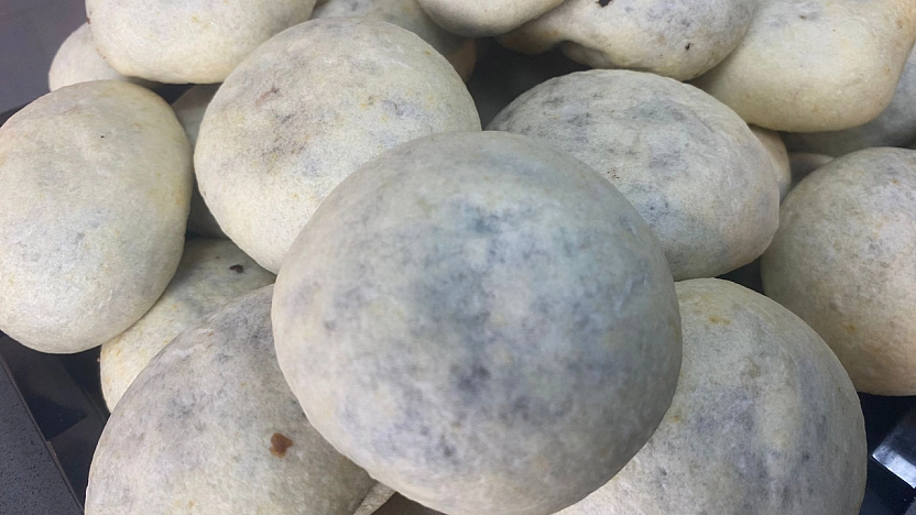 İzmir'in bombası Elazığ'a düştü