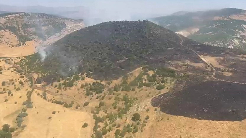 Karakoçan'da orman yangını kontrol altına alındı
